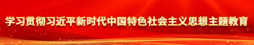 狂插乱操东北女学习贯彻习近平新时代中国特色社会主义思想主题教育